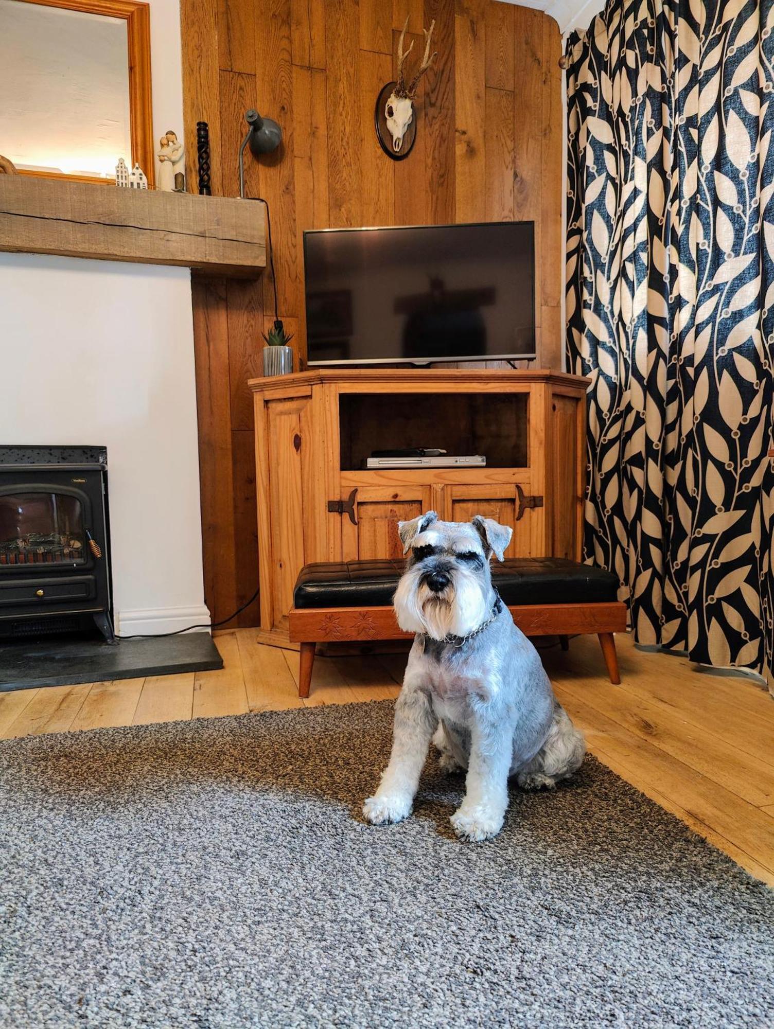 Pitcaithly Cottage Abernethy ภายนอก รูปภาพ