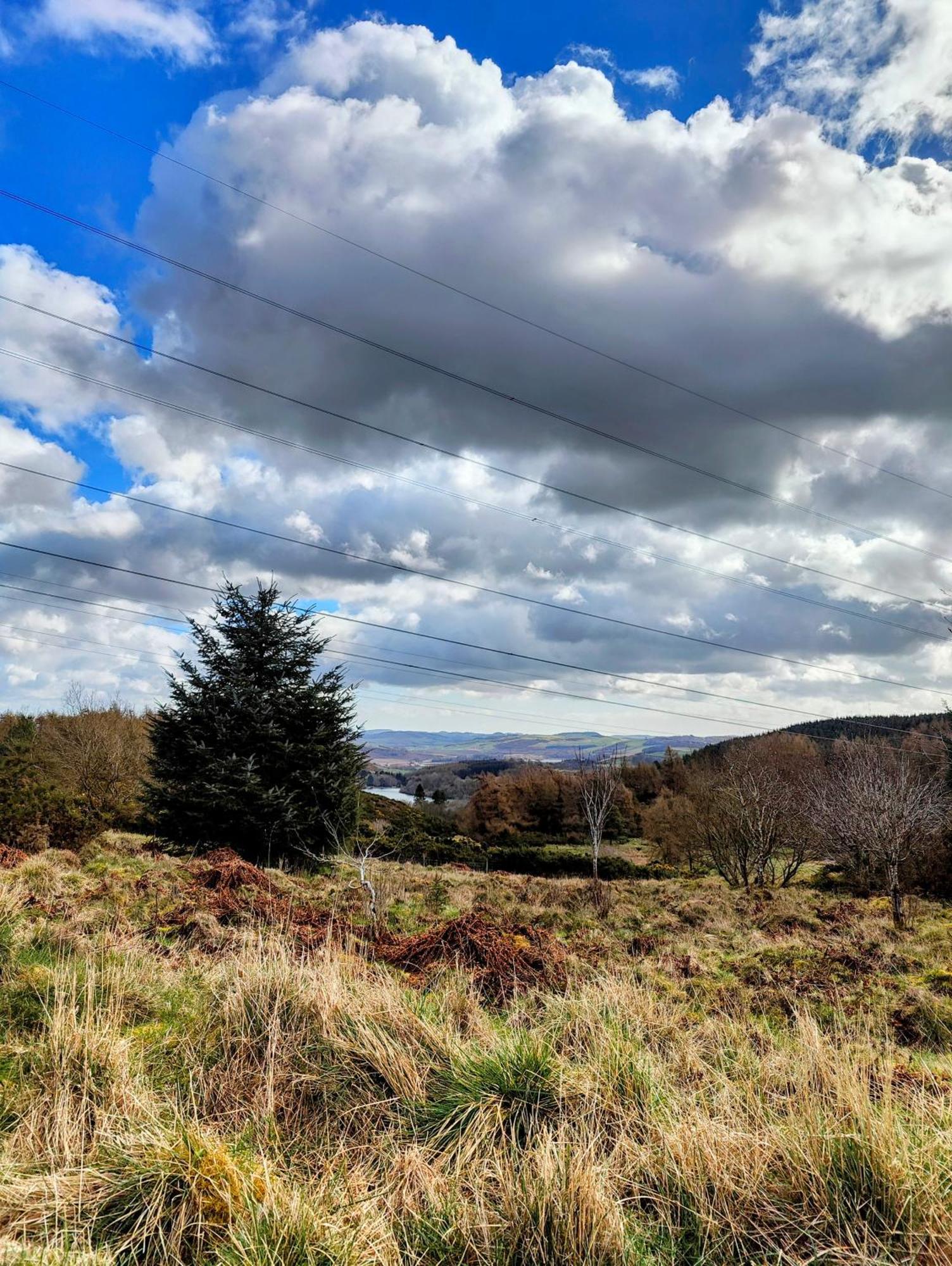 Pitcaithly Cottage Abernethy ภายนอก รูปภาพ